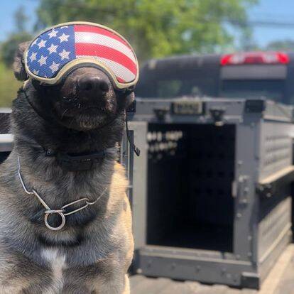 Sonoma County Deputy Sheriff's K9 Association Whiskey Bottle